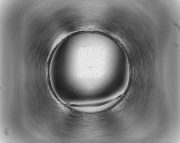 X0000097291424200802221301