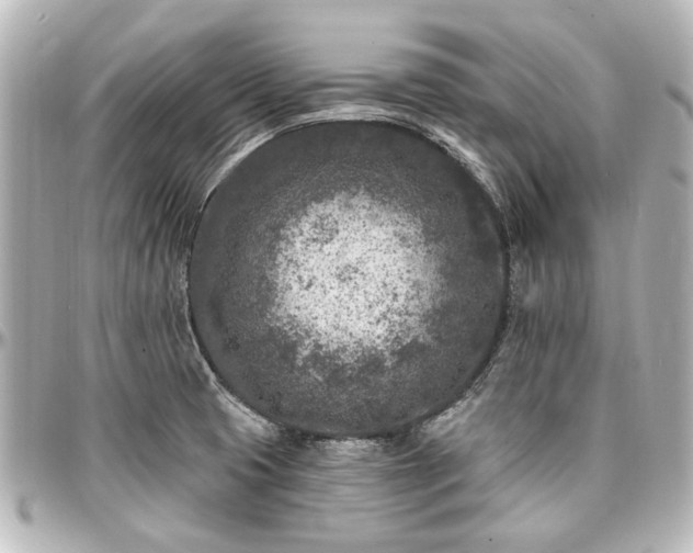 X0000097291425200802221301