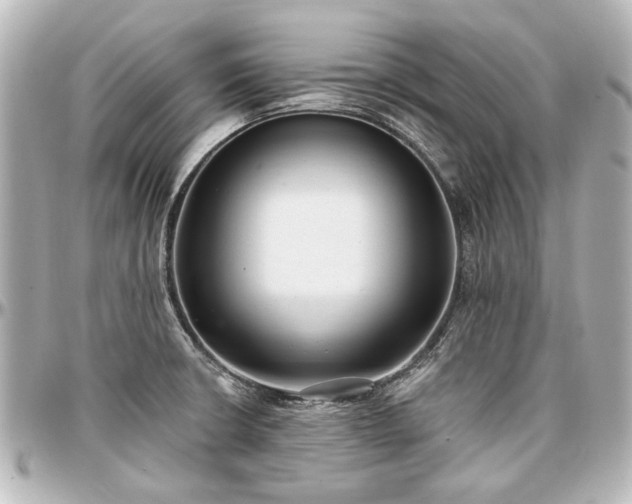 X0000097291426200802221301