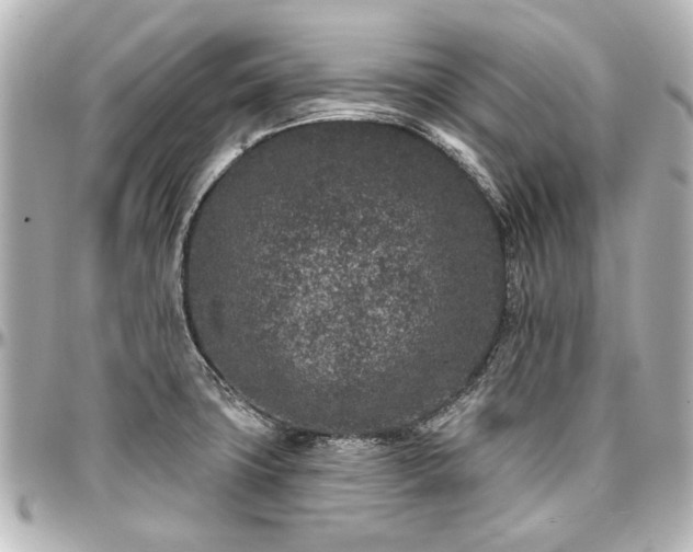 X0000097291427200802221302