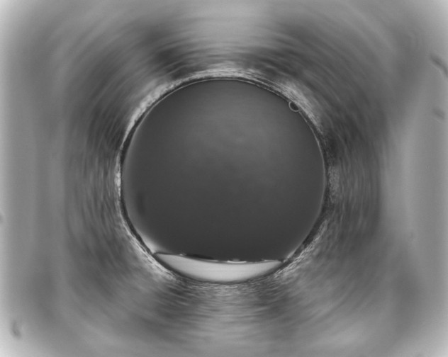 X0000097291428200802221302