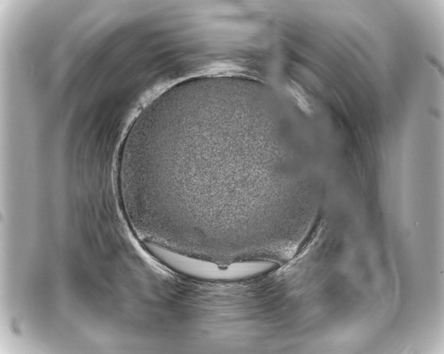 X0000097291429200802221302