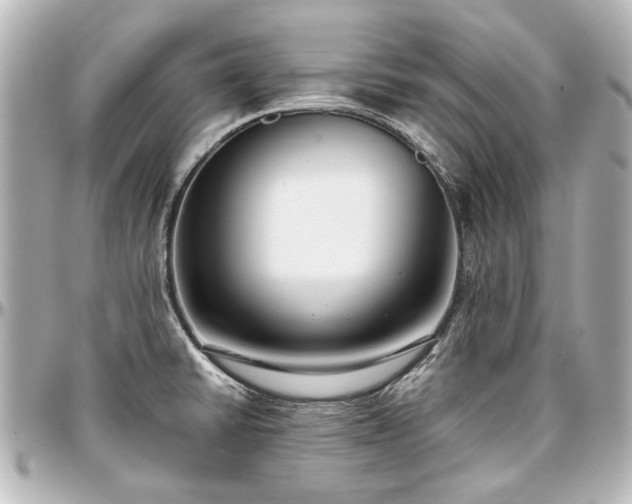 X0000097291430200802221302