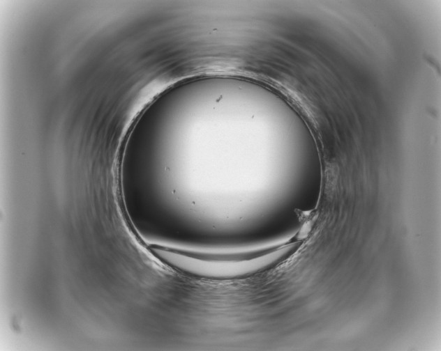 X0000097291432200802221302