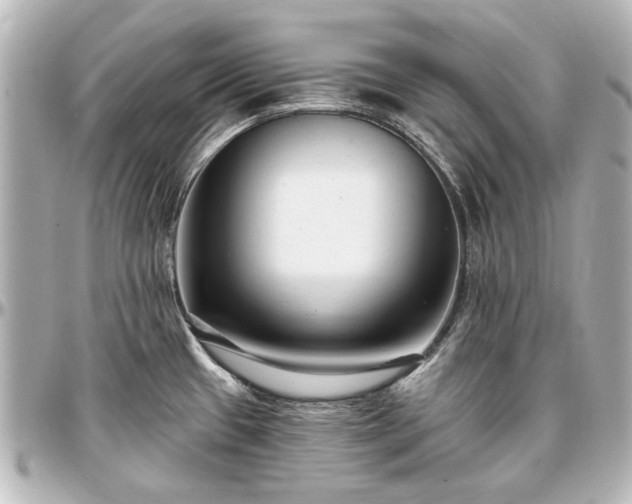 X0000097291433200802221302