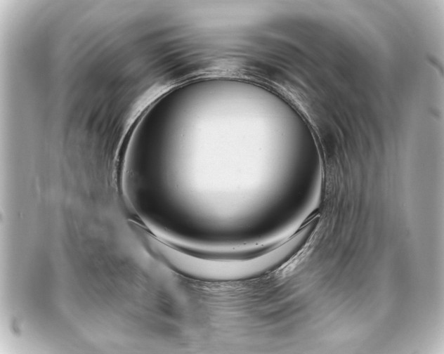 X0000097291434200802221302