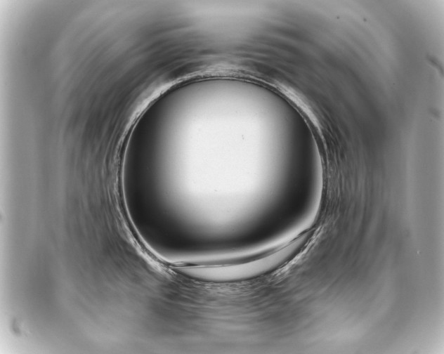 X0000097291437200802221302