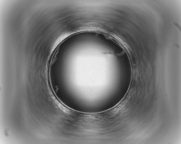 X0000097291438200802221302