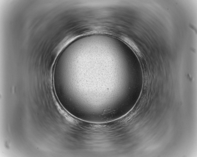 X0000097291439200802221302