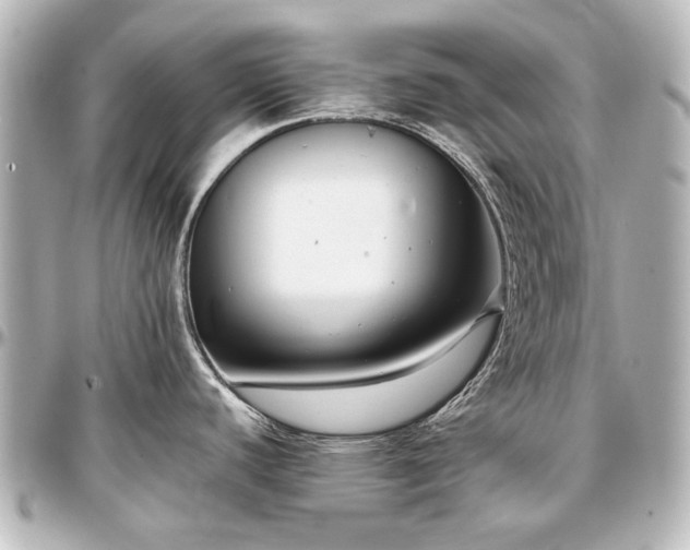 X0000097291440200802221302