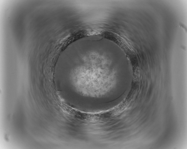 X0000097291441200802221301