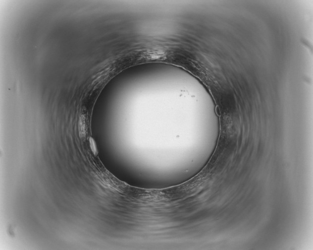X0000097291442200802221301