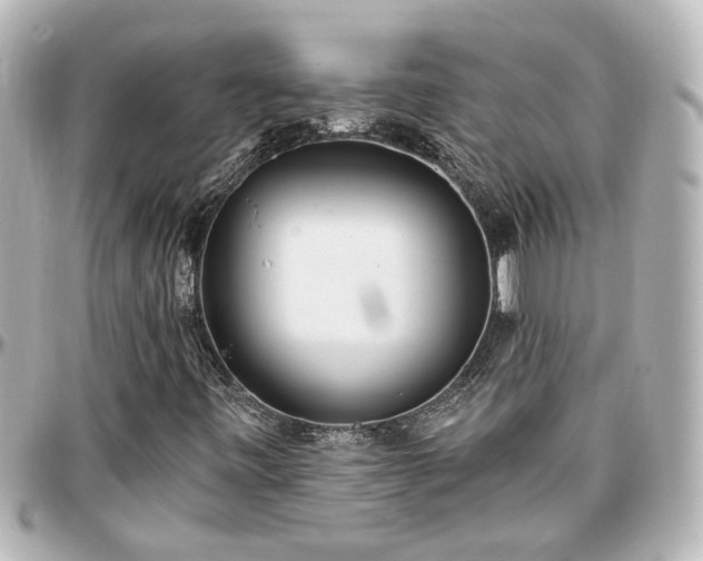 X0000097291443200802221301