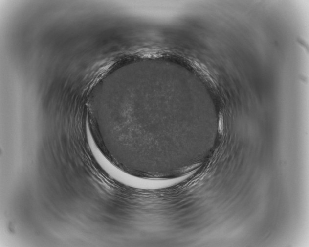 X0000097291444200802221301