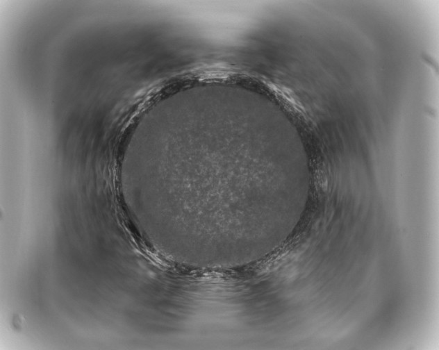 X0000097291445200802221301