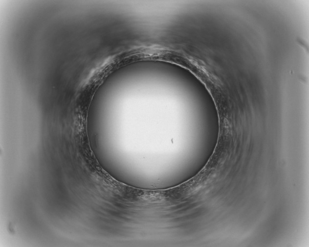 X0000097291447200802221301