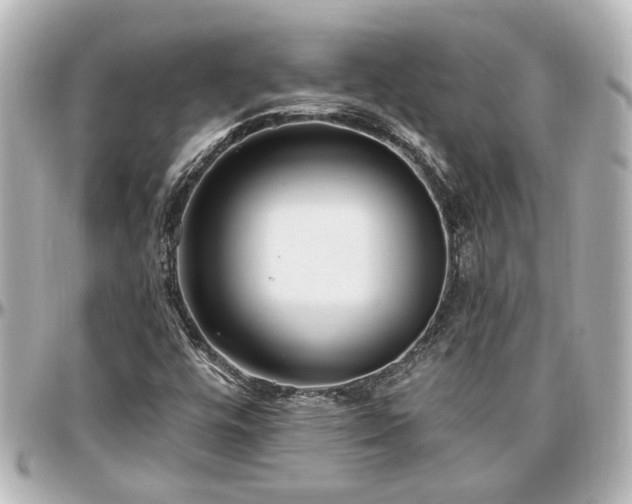 X0000097291448200802221301