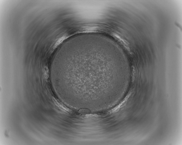 X0000097291449200802221301