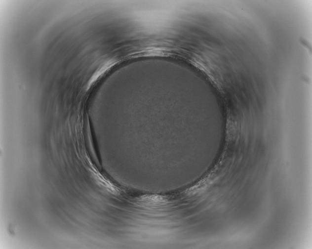X0000097291450200802221301