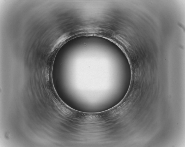 X0000097291451200802221301