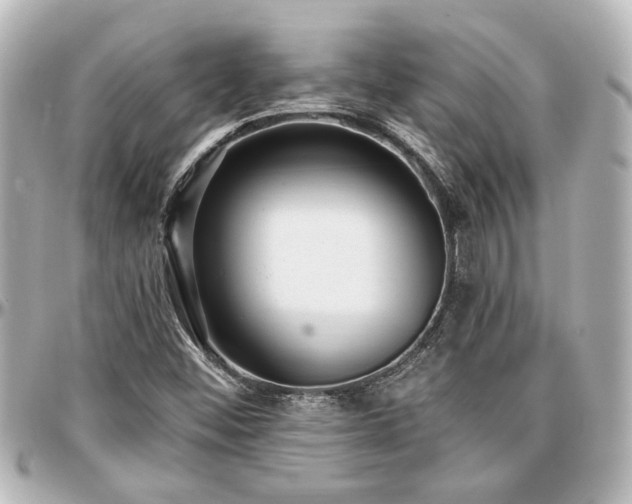 X0000097291452200802221301