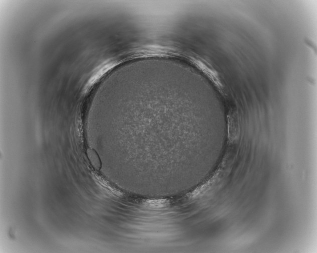 X0000097291453200802221301