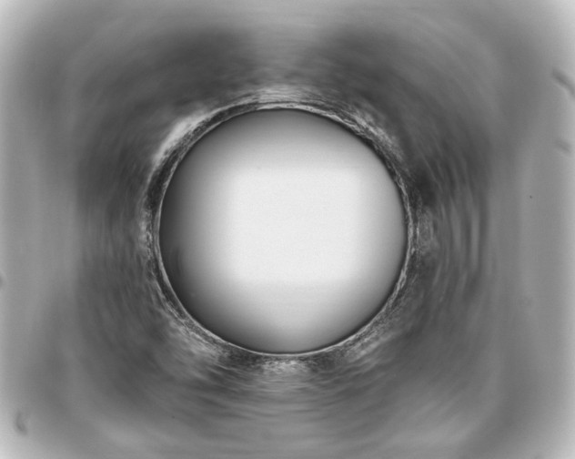 X0000097291454200802221301
