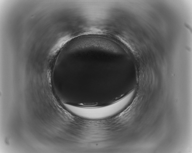 X0000097291455200802221301