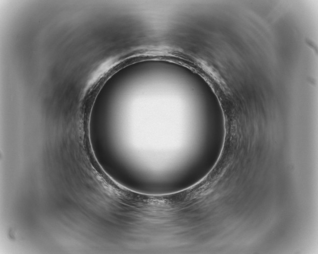 X0000097291456200802221301
