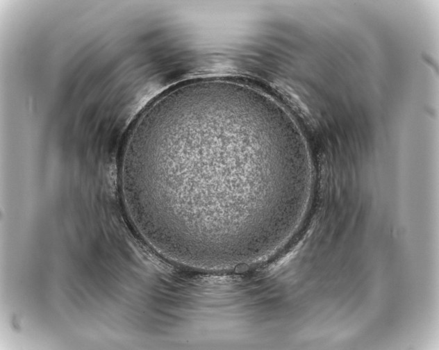 X0000097291457200802221301