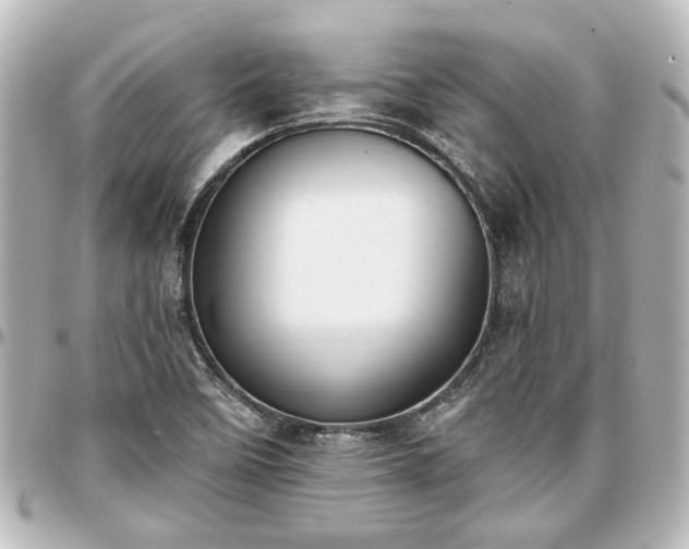 X0000097291458200802221301