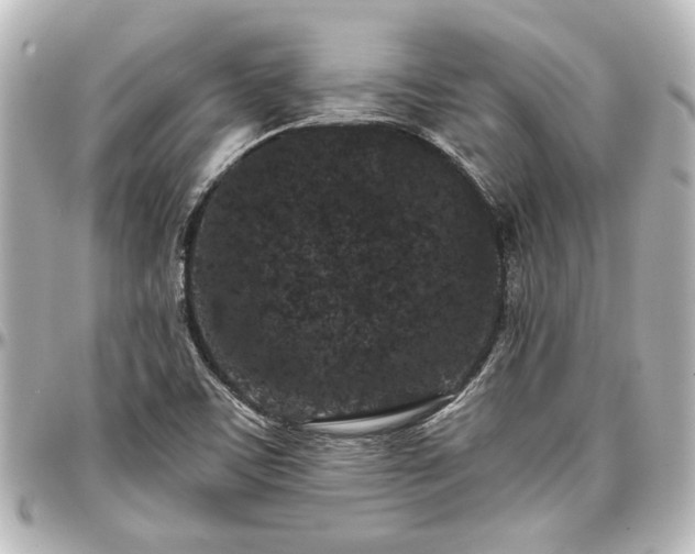 X0000097291459200802221301