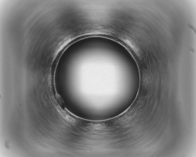 X0000097291460200802221301