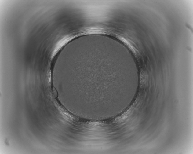 X0000097291461200802221301