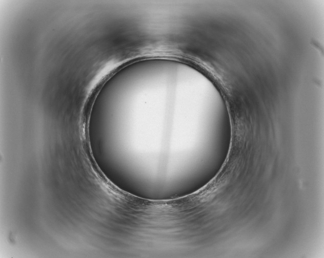 X0000097291462200802221301