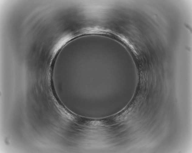 X0000097291463200802221301