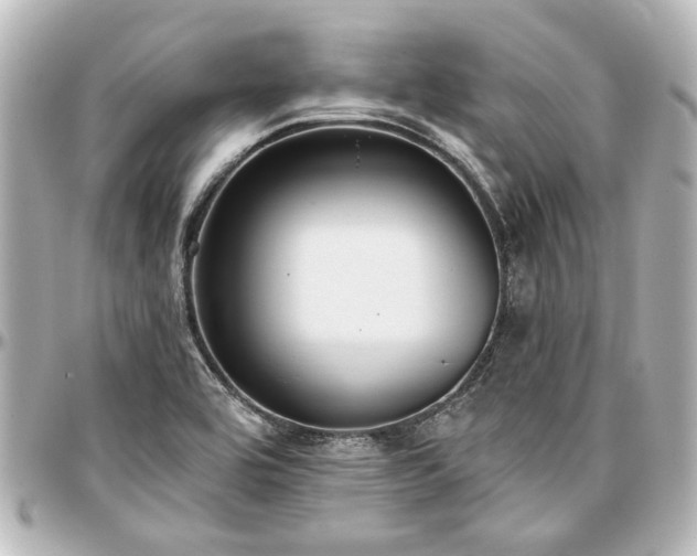 X0000097291464200802221301