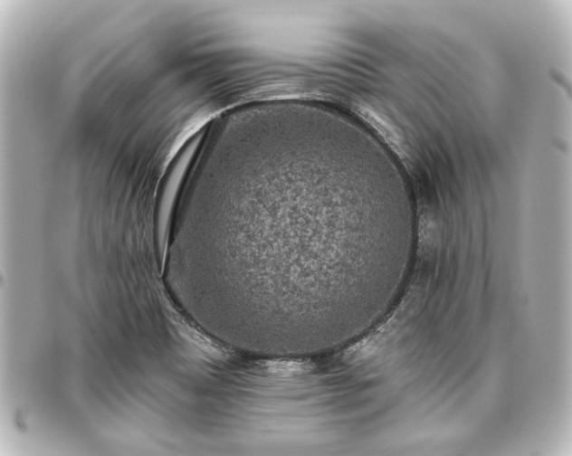 X0000097291465200802221301
