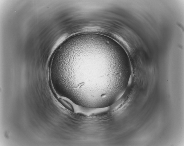 X0000097291467200802221300