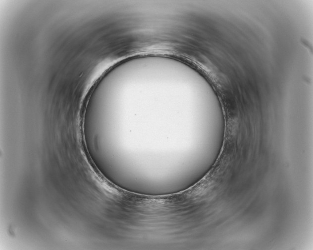X0000097291470200802221300