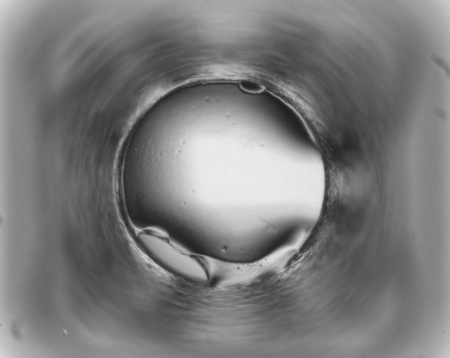 X0000097291471200802221300