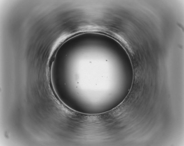 X0000097291472200802221300