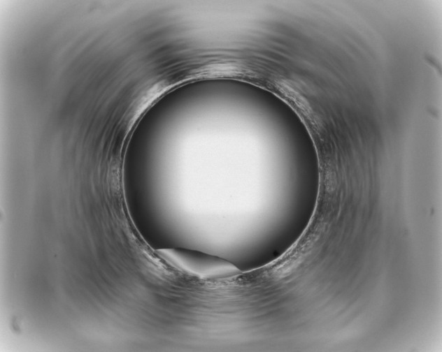 X0000097291473200802221300