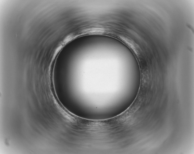 X0000097291475200802221300