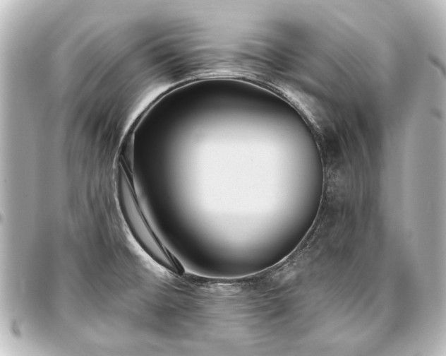 X0000097291476200802221300