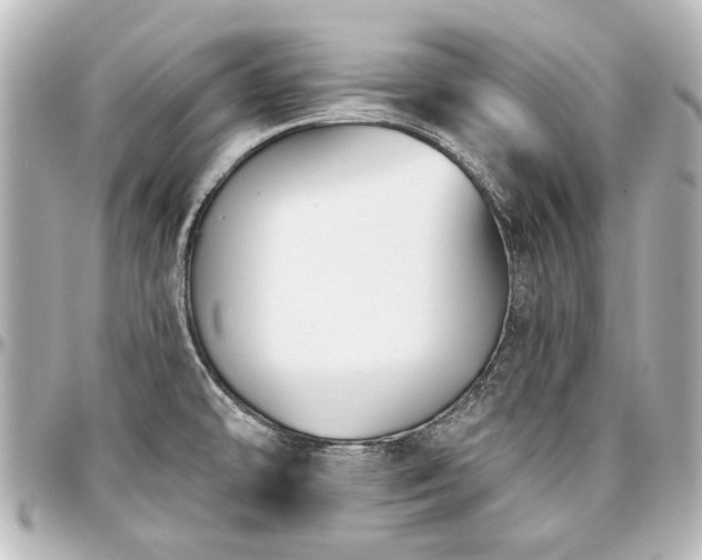 X0000097291478200802221300