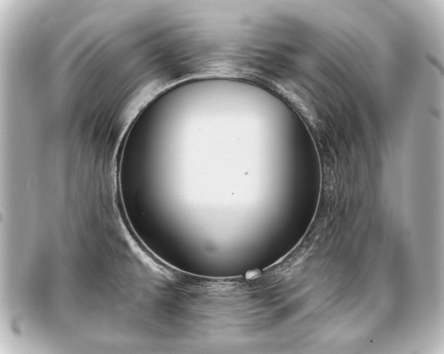 X0000097291479200802221300