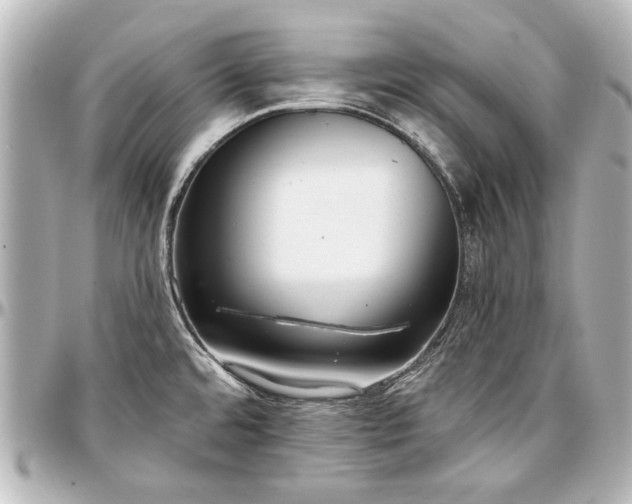 X0000097291480200802221300