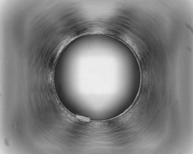 X0000097291481200802221300
