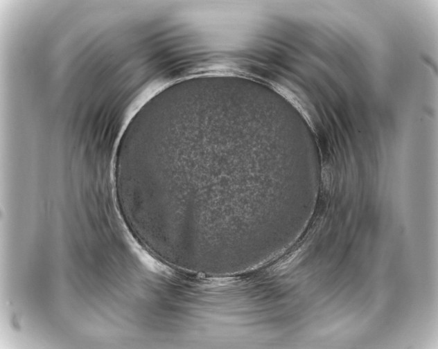 X0000097291482200802221300